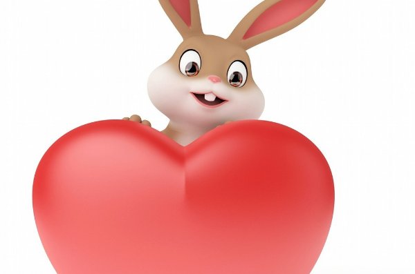 昆山片玉指的是什么动物