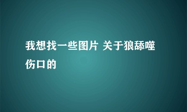 我想找一些图片 关于狼舔噬伤口的