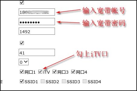 电信光猫如何设置iTV拨号上网？
