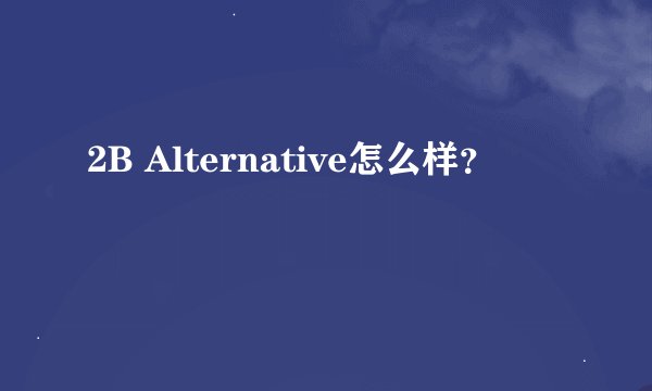2B Alternative怎么样？