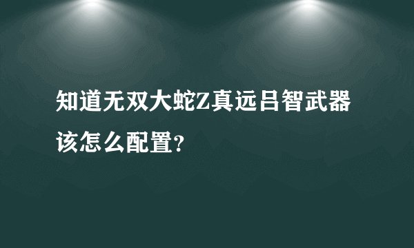 知道无双大蛇Z真远吕智武器该怎么配置？