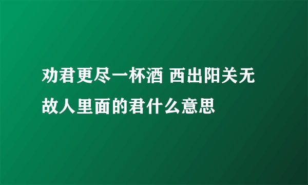 劝君更尽一杯酒 西出阳关无故人里面的君什么意思