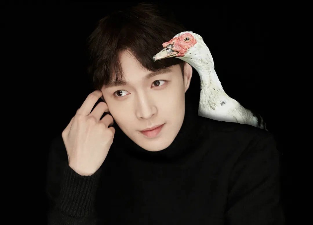 《向往的生活》张艺兴和彩灯之间有安全距离，他为什么对彩灯这么恐惧？