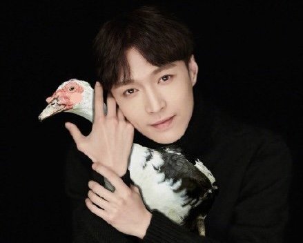 《向往的生活》张艺兴和彩灯之间有安全距离,他为什么对彩灯这么恐惧?