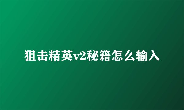 狙击精英v2秘籍怎么输入