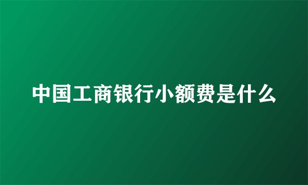 中国工商银行小额费是什么