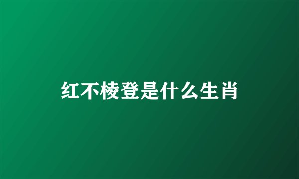 红不棱登是什么生肖