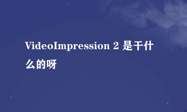 VideoImpression 2 是干什么的呀