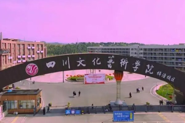 四川文化艺术学院2022年校考各省分数线