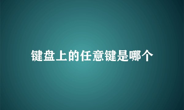 键盘上的任意键是哪个