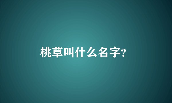 桃草叫什么名字？