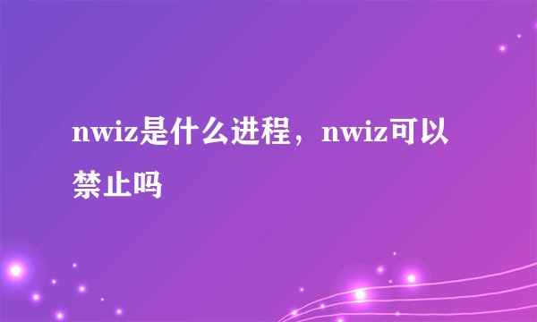 nwiz是什么进程，nwiz可以禁止吗