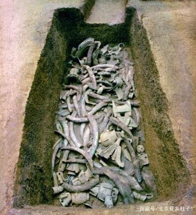 三星堆距今至多3219年通过碳十四得出的结论,这个说法准吗?