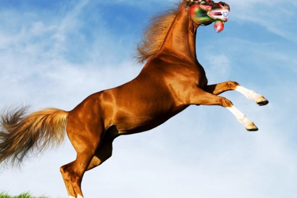 屹然挺立打一个正确生肖