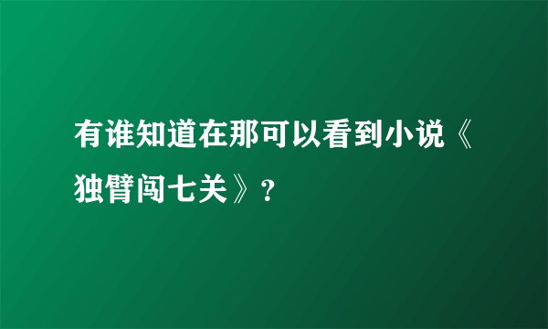 有谁知道在那可以看到小说《独臂闯七关》？