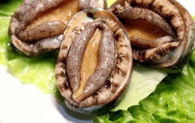 鲍鱼煲汤翻煲之后,是怎样的原因导致肉质会变硬?