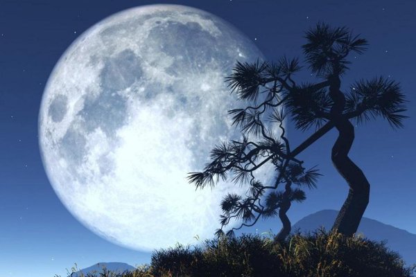 15的月亮16圆什么意思?