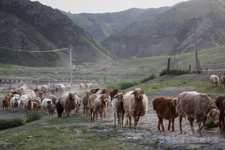 三区指的哪三区?