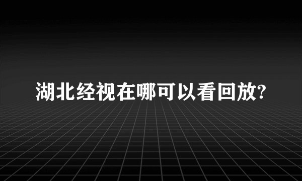 湖北经视在哪可以看回放?