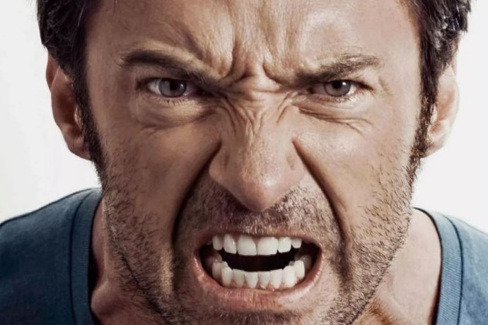 横眉冷对什么意思