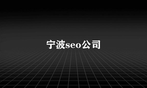 宁波seo公司