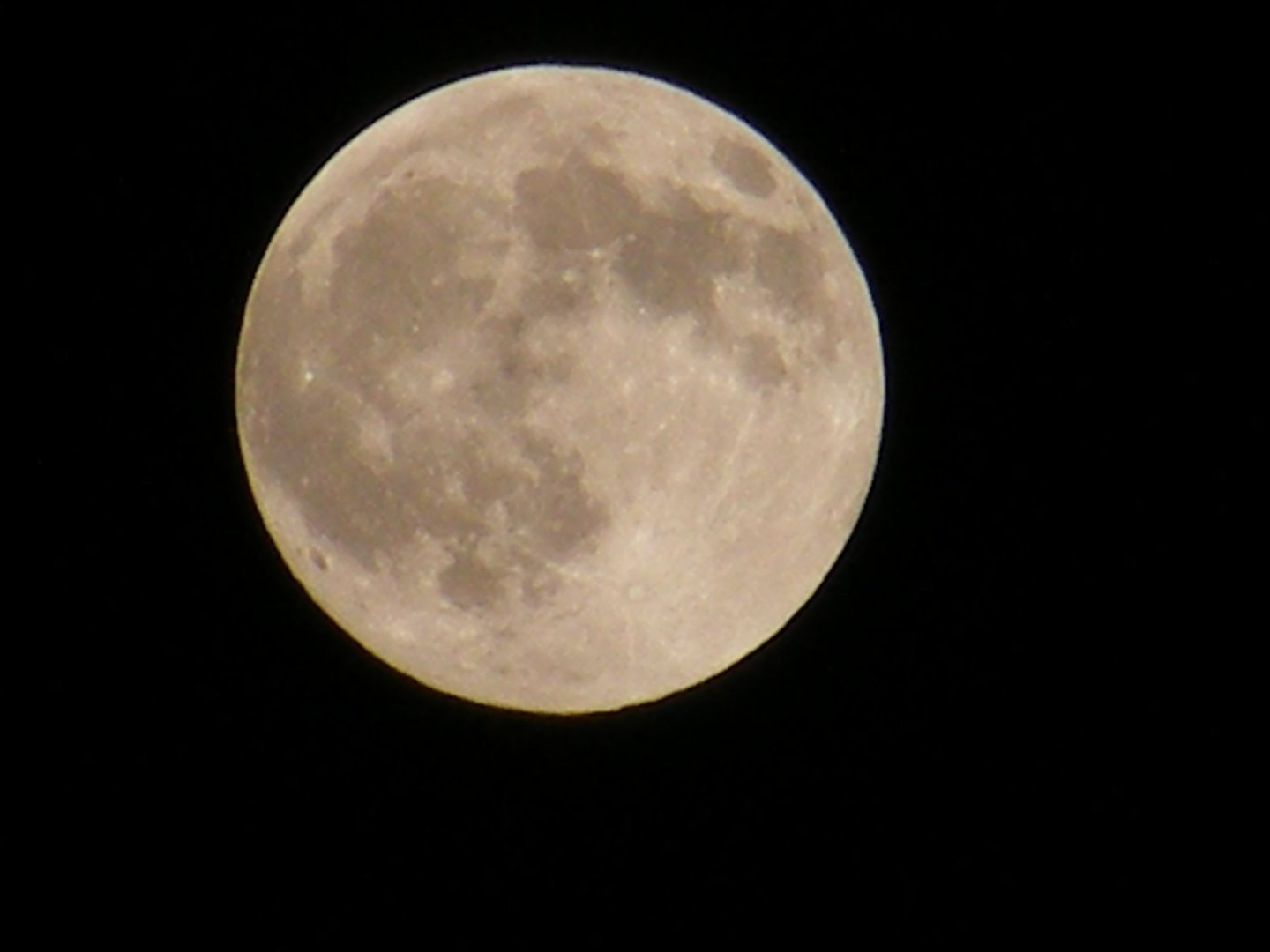 十五的月亮十六圆下一句是什么？