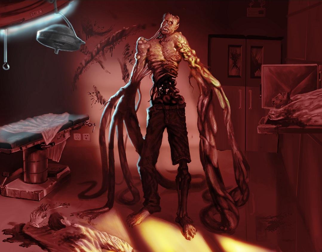 纵横动漫的介绍