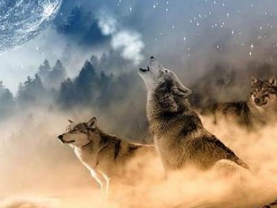 三个人的闺蜜网名