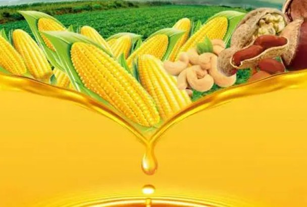 中国转基因食品一览表