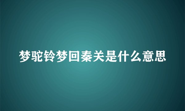 梦驼铃梦回秦关是什么意思