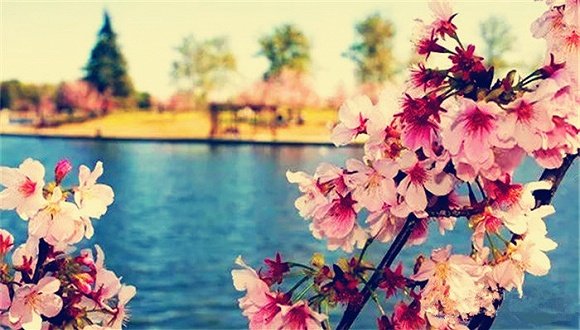 圣费尔南多谷的历史：