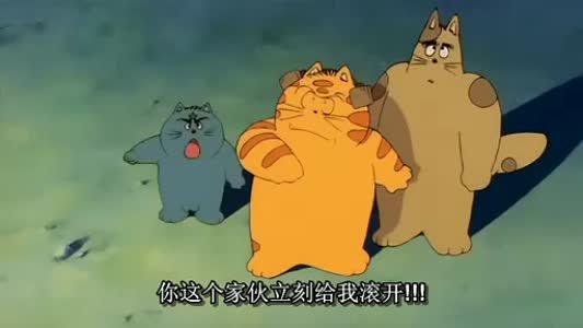 小白角的小白角简介