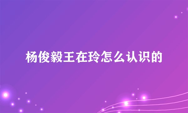 杨俊毅王在玲怎么认识的