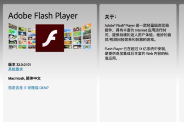 什么是FlashPlayer?
