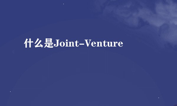 什么是Joint-Venture