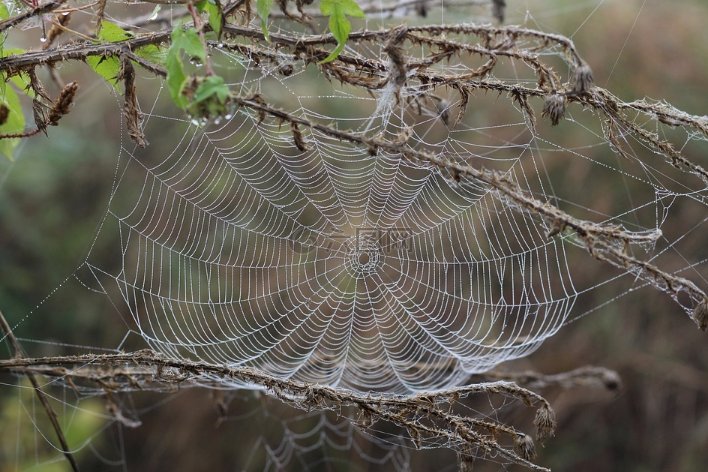 网字繁体字怎么写