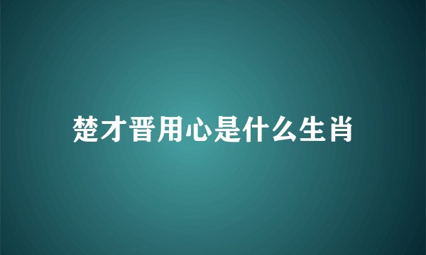 楚才晋用心是什么生肖