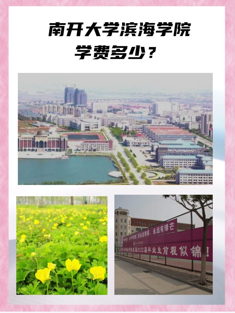 南开大学滨海学院学费多少？