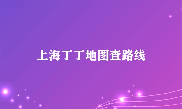 上海丁丁地图查路线