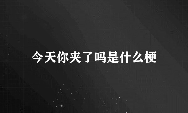 今天你夹了吗是什么梗