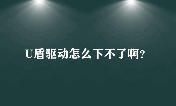 U盾驱动怎么下不了啊？