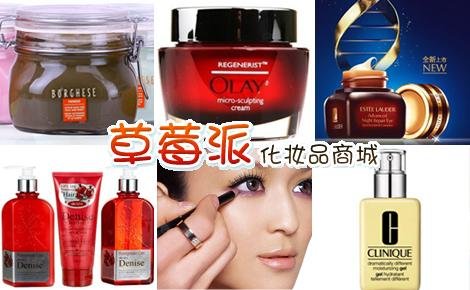 草莓派商城的公司服务