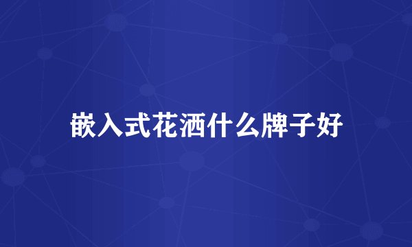 嵌入式花洒什么牌子好