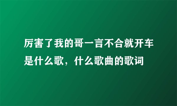 厉害了我的哥一言不合就开车是什么歌，什么歌曲的歌词