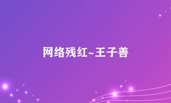 网络残红~王子善