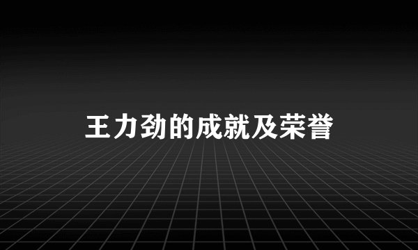 王力劲的成就及荣誉