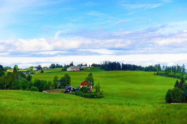 金色的什么 搭配组词