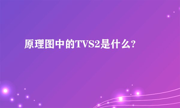 原理图中的TVS2是什么?