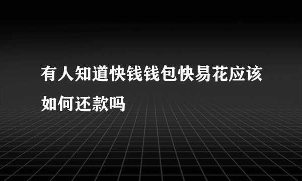 有人知道快钱钱包快易花应该如何还款吗