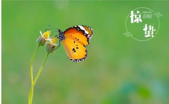 蚂蚁庄园惊蛰是什么意思